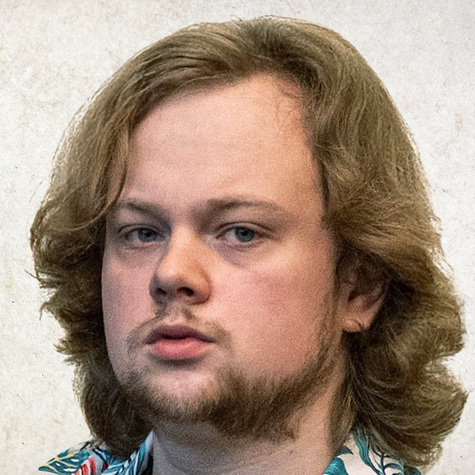 ᲐᲠᲢᲔᲛ ᲒᲠᲘᲑᲣᲚᲘ