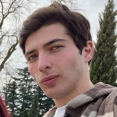 ᲐᲛᲘᲠᲐᲜ ᲓᲝᲚᲘᲨᲕᲘᲚᲘ